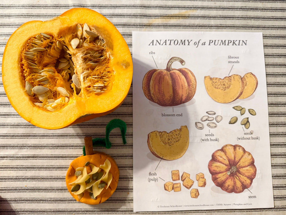 "P is for Pumpkin" Simple Lesson Plan and Activities